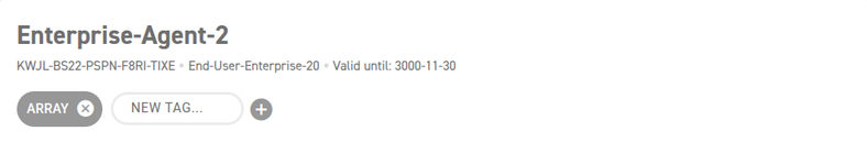 The tags of a license with the NEW TAG field
